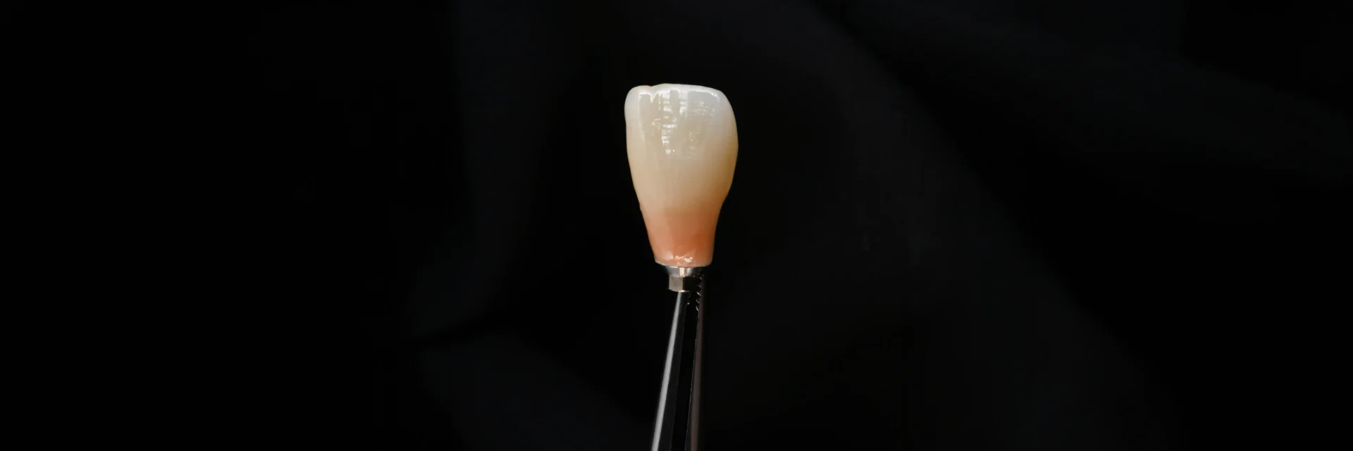 Stomatologija - Dentalna protetika i biofunkcionalna terapija